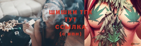 твердый Арсеньев