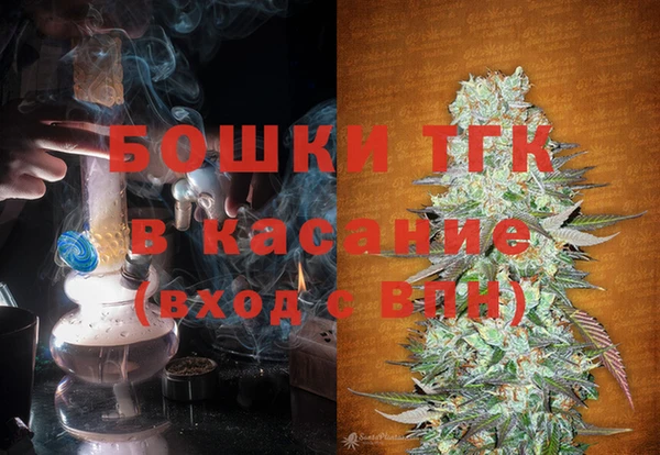 твердый Арсеньев