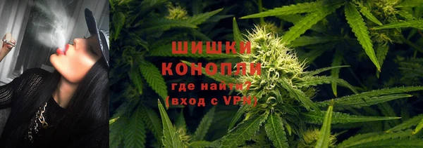 твердый Арсеньев