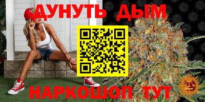 молекула духа Краснознаменск