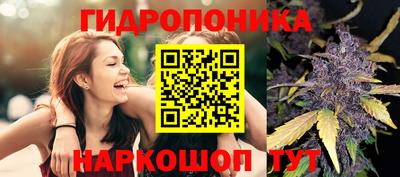 молекула духа Краснознаменск