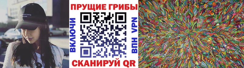 Галлюциногенные грибы Psilocybine cubensis Кирово-Чепецк